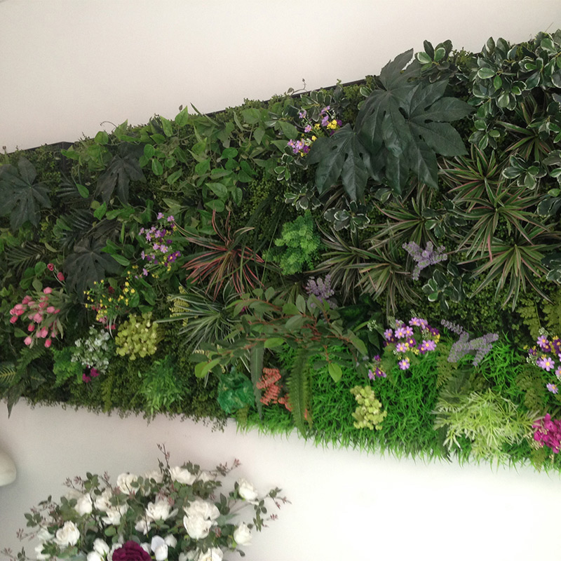 生態(tài)植物墻