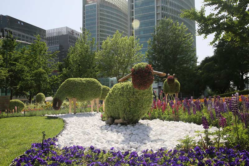 沈陽仿真植物 沈陽仿真植物
